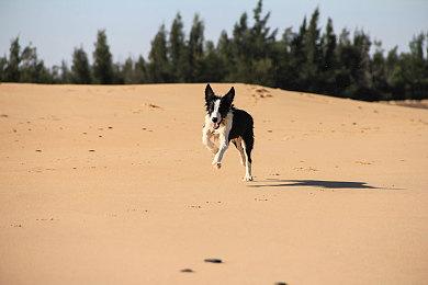  画质拉满  油管博主用虚幻5制作《地铁跑酷》